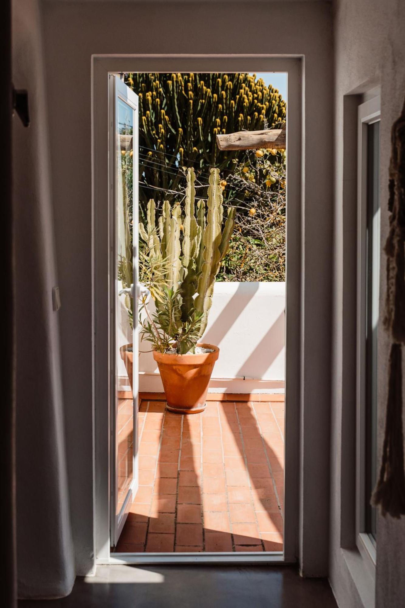Valley Club Ibiza - Boutique Agroturismo Sant Joan De Labritja Room photo