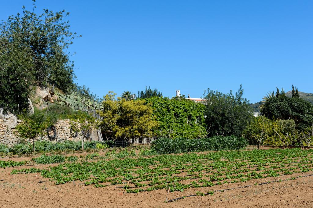 Valley Club Ibiza - Boutique Agroturismo Sant Joan De Labritja Exterior photo